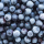 Blueberry wild IQF