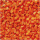 Wortel 10x10x10mm IQF