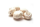Witte champignons