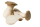 Eryngii verpakt
