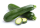 Courgette