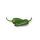 Jalapeno pepers groen