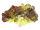 Sla eikenblad groen