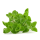 Oregano 250 gr