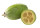 Feijoa