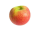Appel Delbare 70-80 groot
