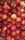 Appel Dalinette 80-85 groot