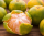 Mandarijn Clementine cal 3/4