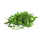 Rucola verpakt 100gr