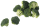 Broccoli G