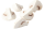 Champignons kwartjes wit