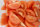 Tomaten partjes