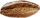 Siegolet Bruin