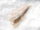 Scholfilet NB 3-400 gr.z.vel