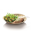 Palmblad bord 24 cm